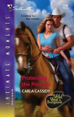 Book cover for Protecting the Princess