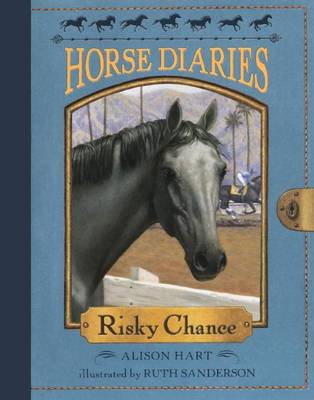 Book cover for Risky Chance