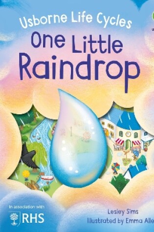 Cover of One Little Raindrop