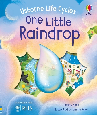 Book cover for One Little Raindrop