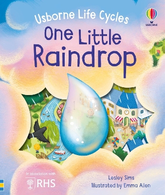 Book cover for One Little Raindrop