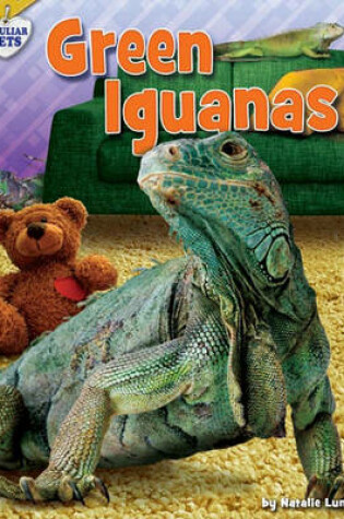 Cover of Green Iguanas