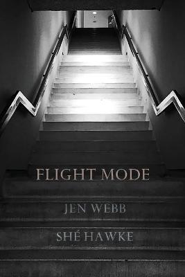 Book cover for Flight Mode