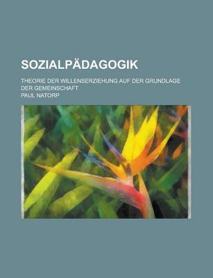 Book cover for Sozialpadagogik; Theorie Der Willenserziehung Auf Der Grundlage Der Gemeinschaft