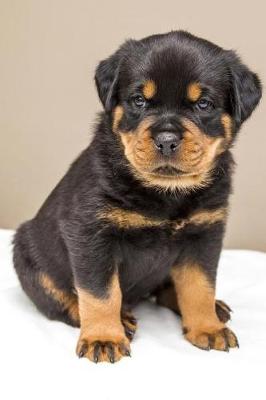 Book cover for Rottweiler Posing for a Picture Journal