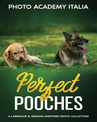 Book cover for Perfect Pooches