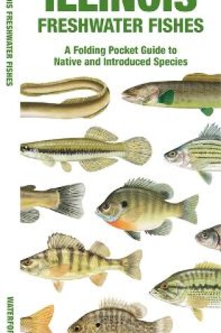 Cover of Illinois Freshwater Fishes