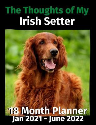 Book cover for The Thoughts of My Irish Setter