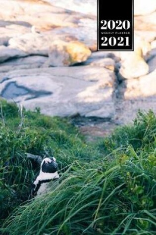 Cover of Penguin Puffin Antarctica Seabird Week Planner Weekly Organizer Calendar 2020 / 2021 - Tall Grass