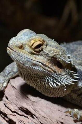 Cover of Portrait of a Bearded Dragon Lizard Journal