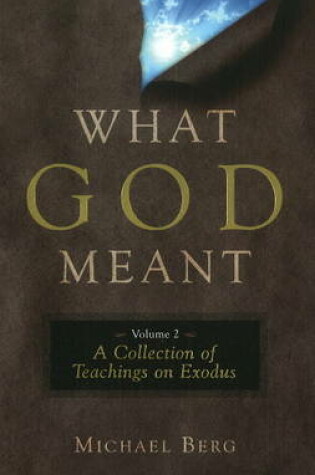 Cover of What God Meant