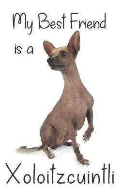 Cover of My best Friend is a Xoloitzcuintli