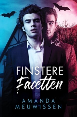 Cover of Finstere Facetten