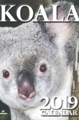 Cover of Koala 2019 Calendar (UK Edition)