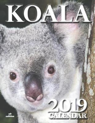 Book cover for Koala 2019 Calendar (UK Edition)