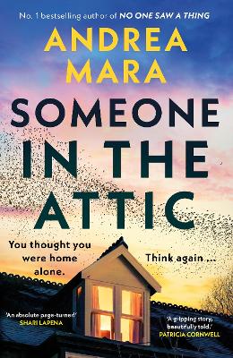 Book cover for Someone in the Attic