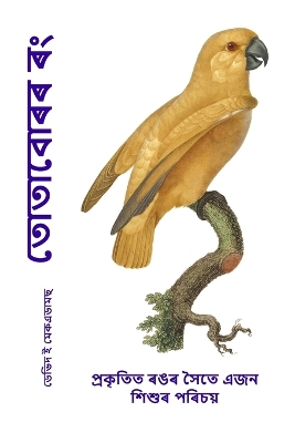 Book cover for তোতাবোৰৰ ৰং