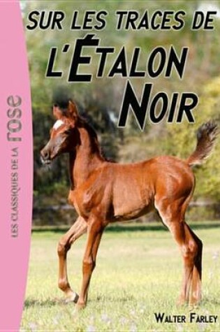 Cover of L'Etalon Noir 07 - Sur Les Traces de L'Etalon Noir