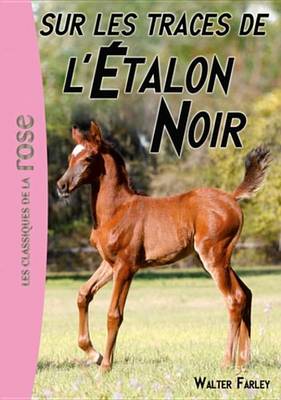 Book cover for L'Etalon Noir 07 - Sur Les Traces de L'Etalon Noir