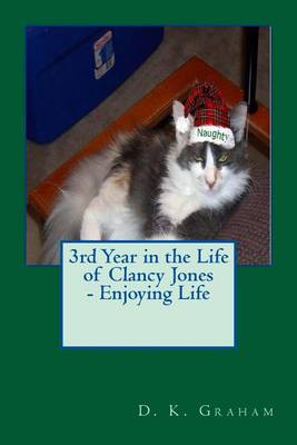 Book cover for 3rd Year in the Life of Clancy Jones - Enjoying Life