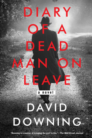 Book cover for Diary Of A Dead Man On Leave