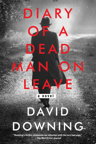 Book cover for Diary of a Dead Man on Leave