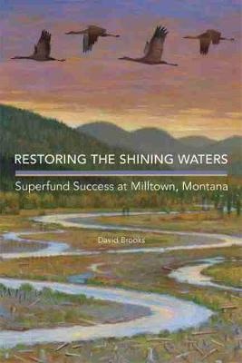 Book cover for Restoring the Shining Waters
