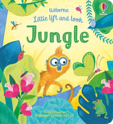 Book cover for Little Lift and Look Jungle
