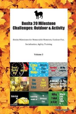 Book cover for Boxita 20 Milestone Challenges