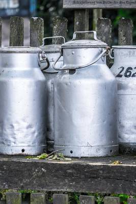 Book cover for Milk Urns at a Farm in Germany