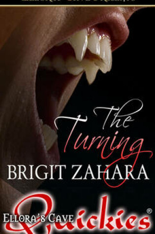 Cover of The Turning