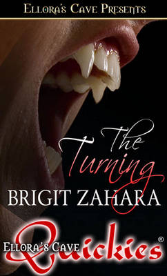 Book cover for The Turning