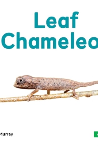 Cover of Mini Animals: Leaf Chameleon