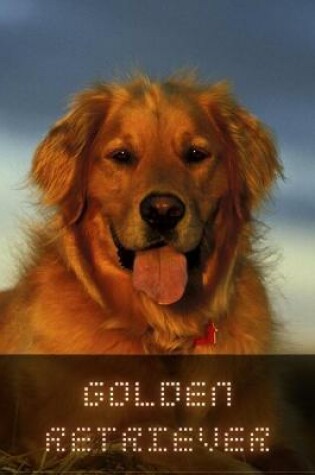 Cover of Golden Retriever