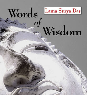 Book cover for Words of Wisdom