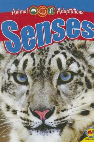 Cover of Senses