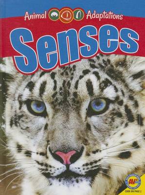 Book cover for Senses