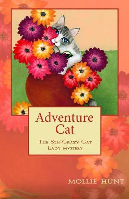 Book cover for Adventure Cat