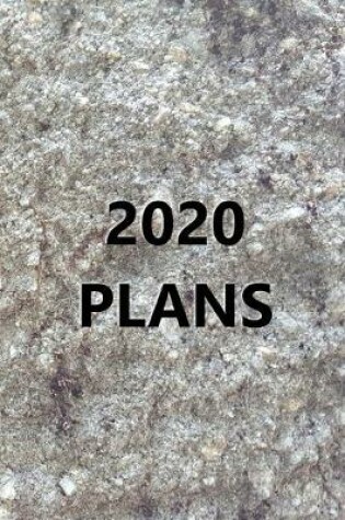 Cover of 2020 Daily Planner 2020 Plans Carved Stone Image Style 384 Pages