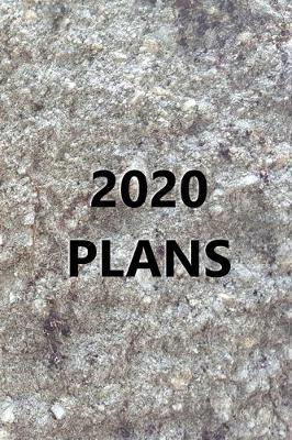 Book cover for 2020 Daily Planner 2020 Plans Carved Stone Image Style 384 Pages