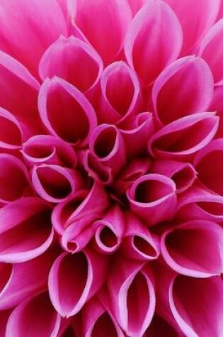 Cover of Close-Up of a Purple Dahlia Flower Blooming