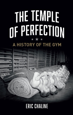 Book cover for The Temple of Perfection