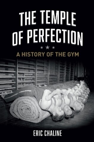 Cover of The Temple of Perfection