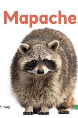 Cover of Mapaches (Raccoons)