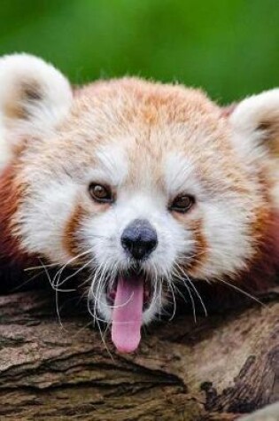 Cover of A Cute Red Panda Sticking Out Her Tongue Journal