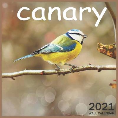 Book cover for 2021 canary
