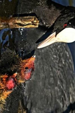 Cover of Mama Coot Bird and Her Babies Journal