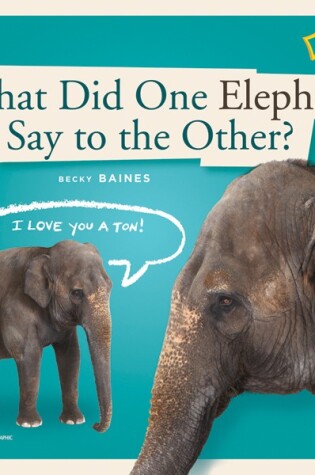 Cover of Zigzag: What Did One Elephant Say to the Other?