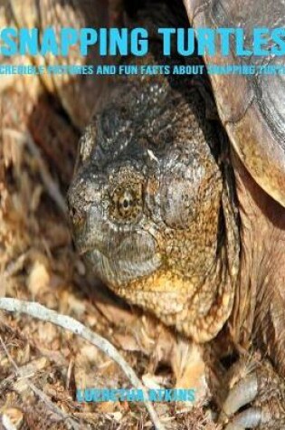 Cover of Snapping Turtles