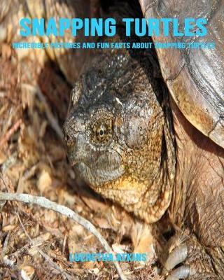 Book cover for Snapping Turtles